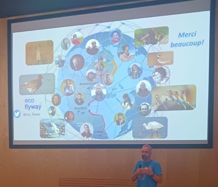 It was a real pleasure to be invited to speak in this event, even if my french more rusty than antecipated.. Props to all non native colleagues that present their science in English! 
<a href="/CNRS/">CNRS 🌍</a> <a href="/CNRSecologie/">CNRS Écologie & Environnement</a> <a href="/WaderStudy/">Wader Study</a> @CESAM_Univ <a href="/eco_flyway/">Eco Flyway</a> <a href="/GlobalFlyway/">Global Flyway Network</a>