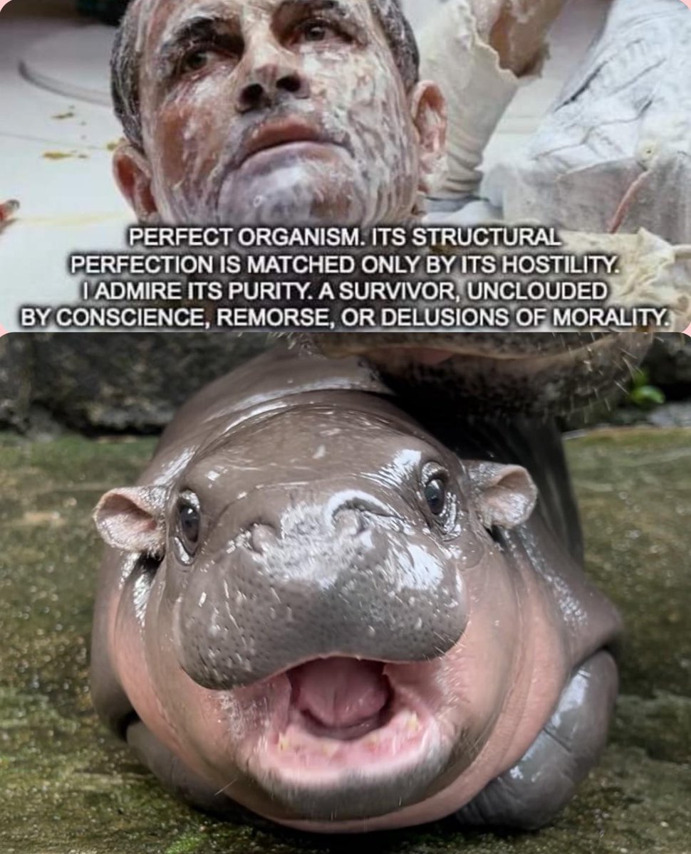 aasterisms's tweet image. 