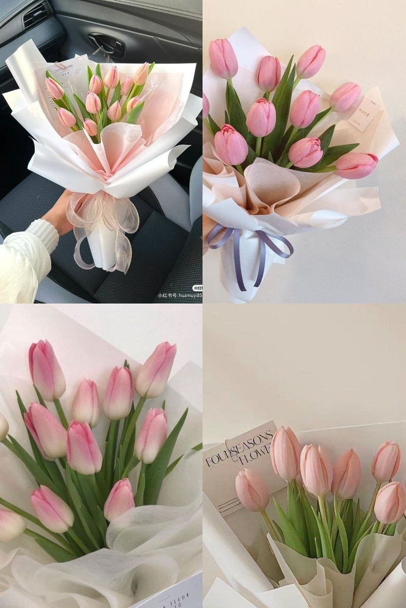 Pink tulips