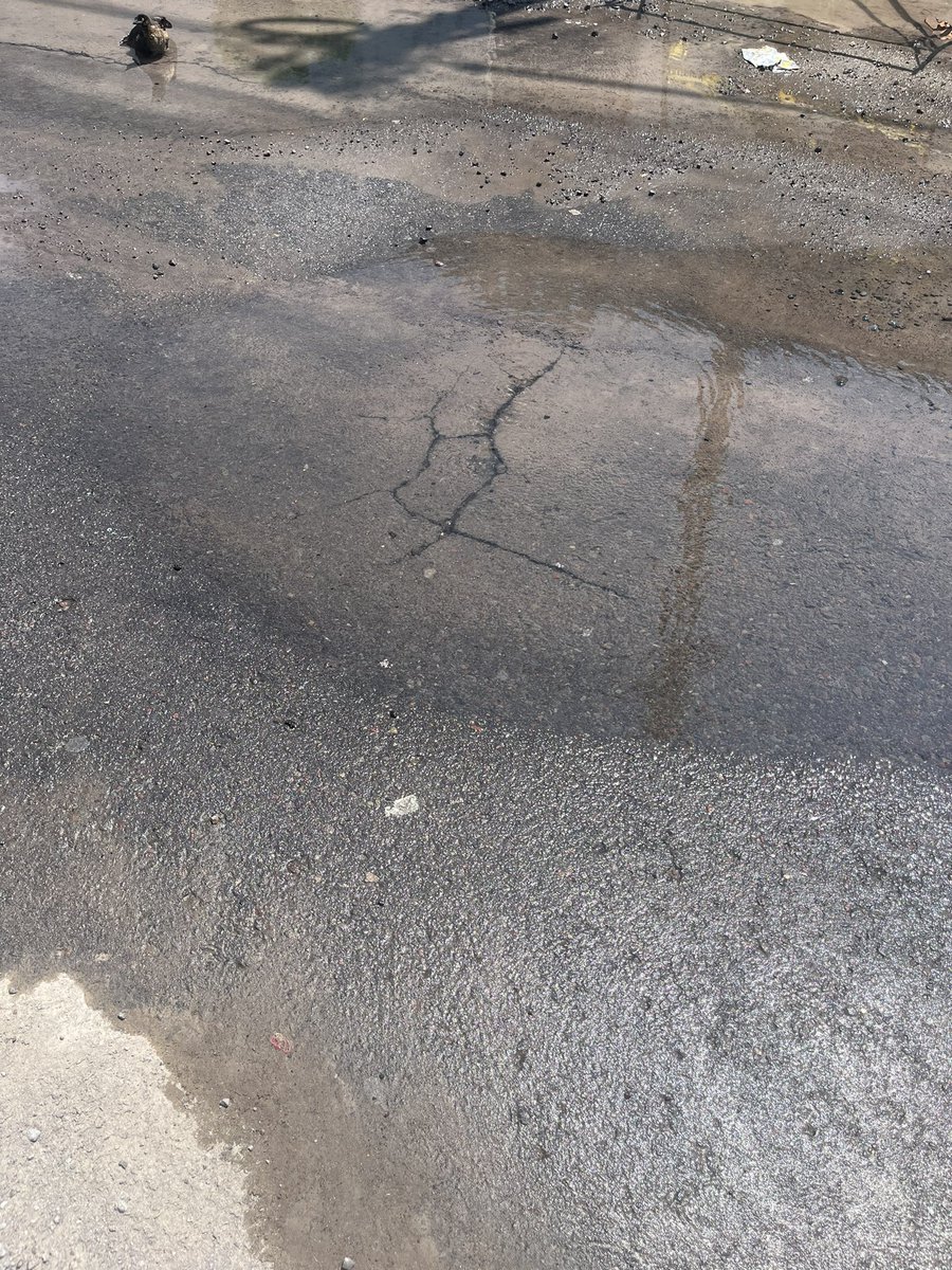 carolacso8's tweet photo. @GrupoMASAgua  hay una fuga de agua que no se ha atendido desde hace más de dos semanas en fracc Arboledas San Ramón dicen que van a ir y no van , y ya se está quebrando la calle https://t.co/6vSusBE1IZ