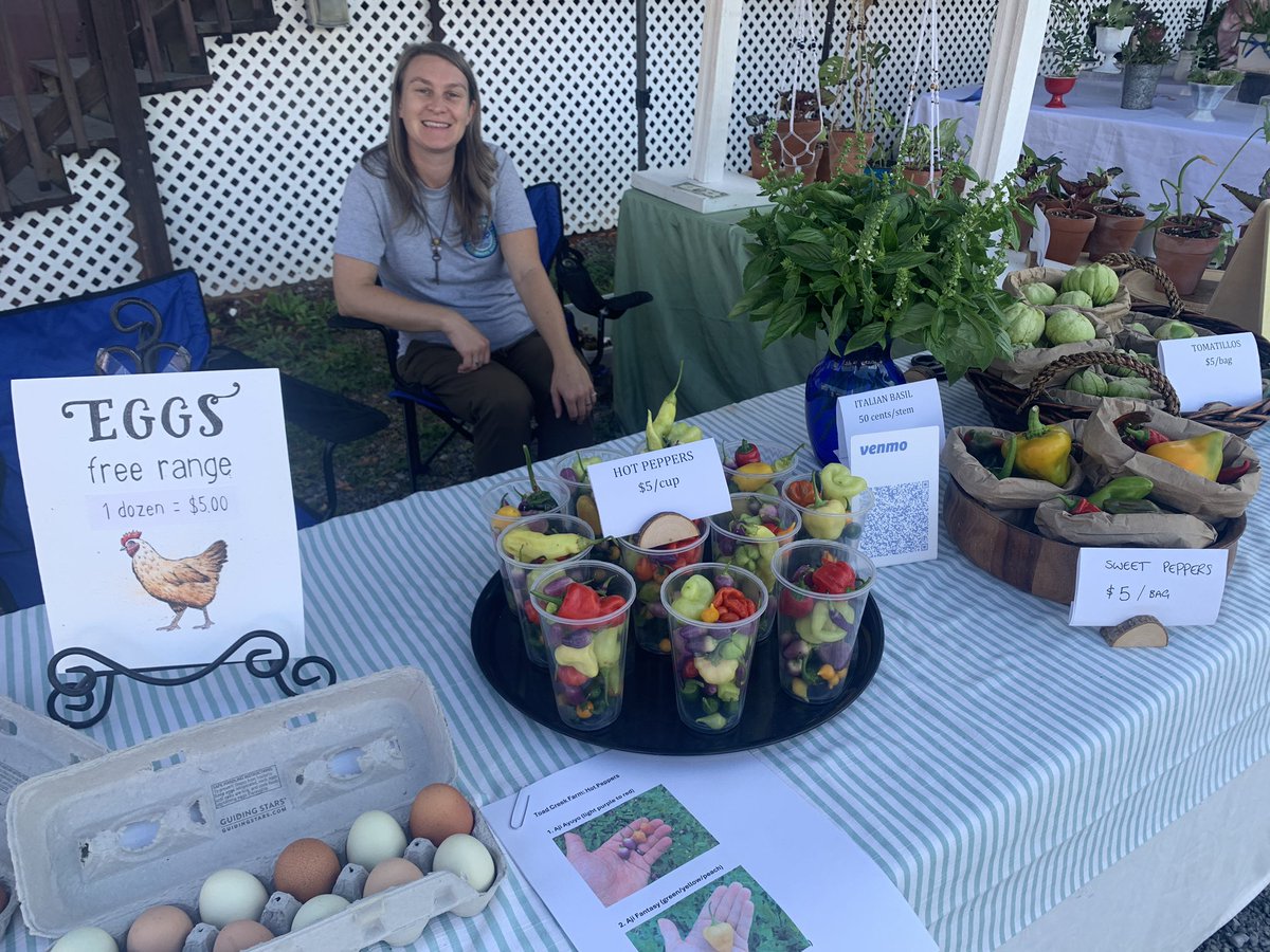 Today is farmers market day!  We’ve got a bounty of peppers, basil, and green tomatillos!