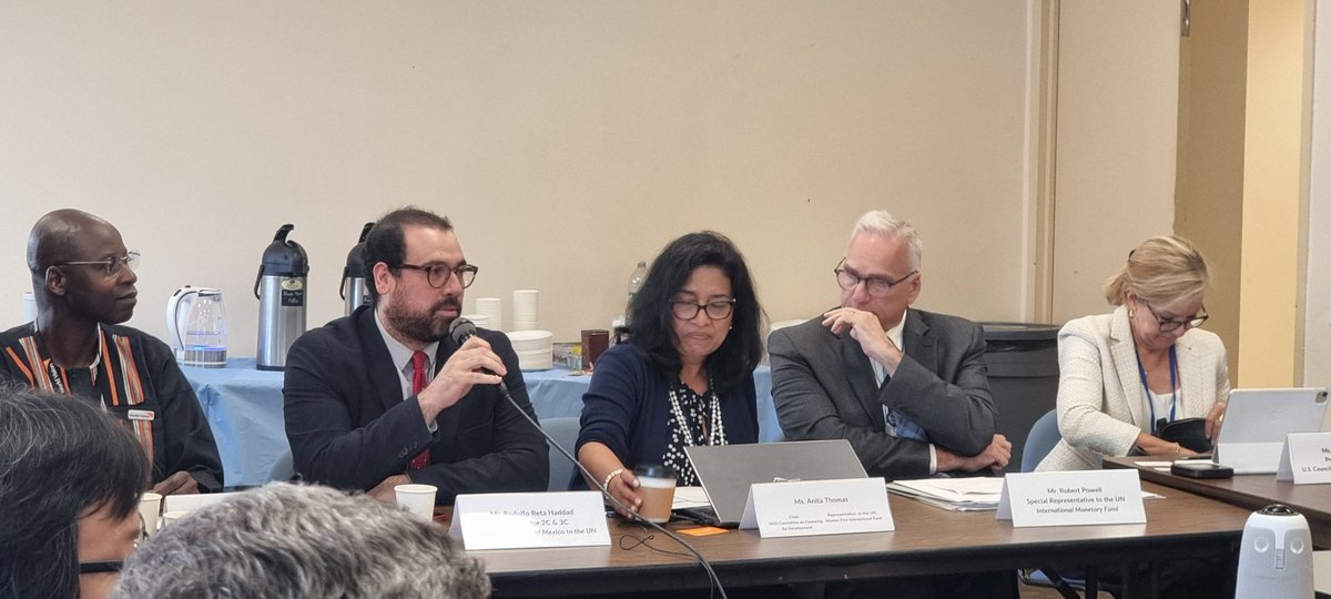 ibvmngo's tweet photo. Mr. Rodolfo Reta Haddad from the Mission of Mexico, our co-sponsor for the Side event at the Summit of the Future. Financing for Development is a human right! @fofo1789 https://t.co/8AGb97aFmp