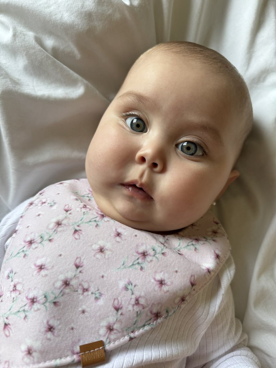 feliz primavera a la 🌸 más hermosa