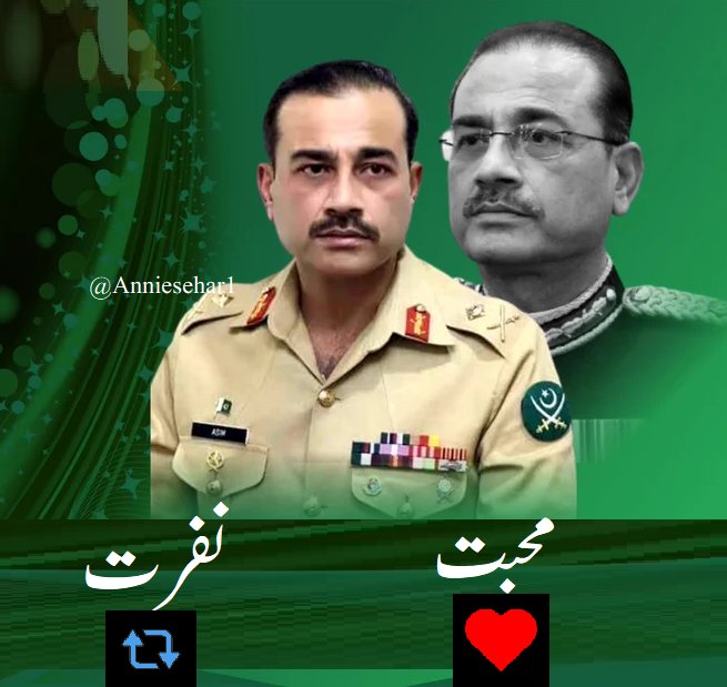 PTI_OFFICIAL8's tweet photo. آپ لوگ موجودہ آرمی چیپ سے محبت کرتے ہیں یا نفرت  ؟ https://t.co/gdsJYMzaOf