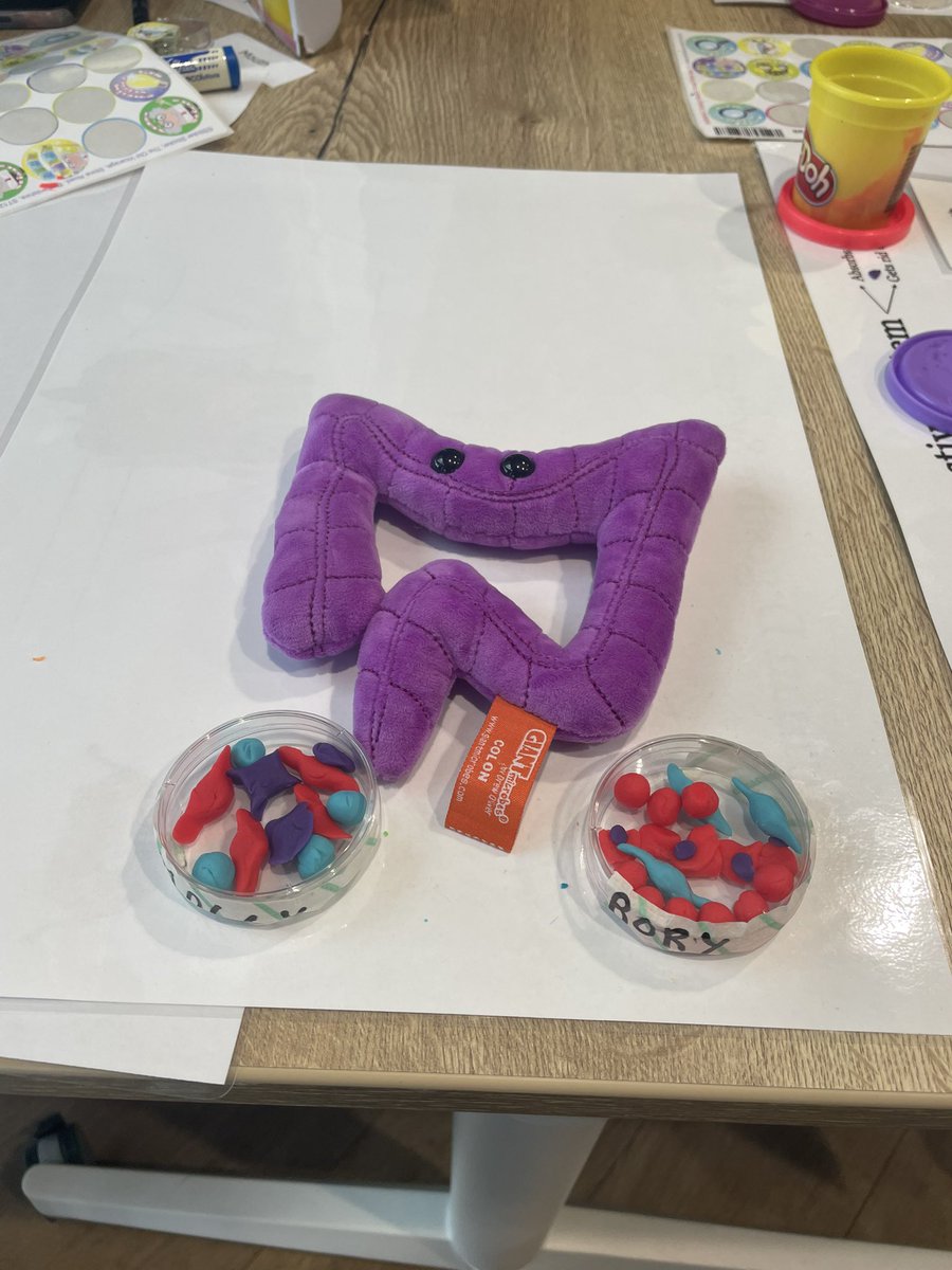 Great time at #Explorathon24! Thank you <a href="/emmacparsons/">Emma Parsons</a> and <a href="/SaraSuperior/">SaraS</a> for teaching us about Polyps!
