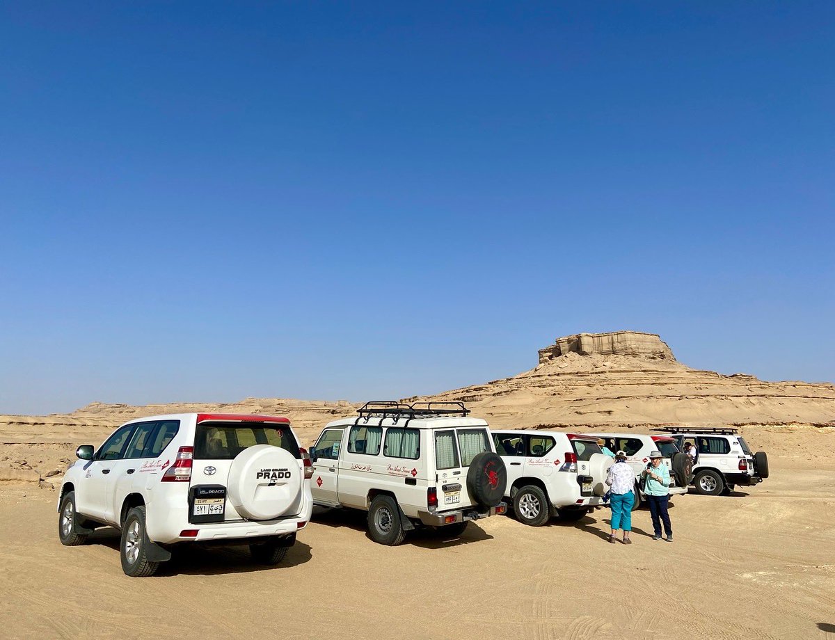 Just back from a fantastic week exploring sites in the Faiyum with an <a href="/AWTours/">Ancient World Tours</a> group. Getting around involves quite a bit of driving in the desert - requiring 4x4s provided by old friends of AWT’s, Pan Arab Tours - with all the fun and stunning landscapes that involves….