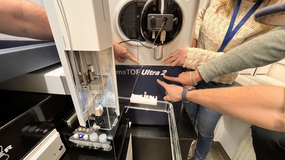 David Gomez Varela PhD tweet media