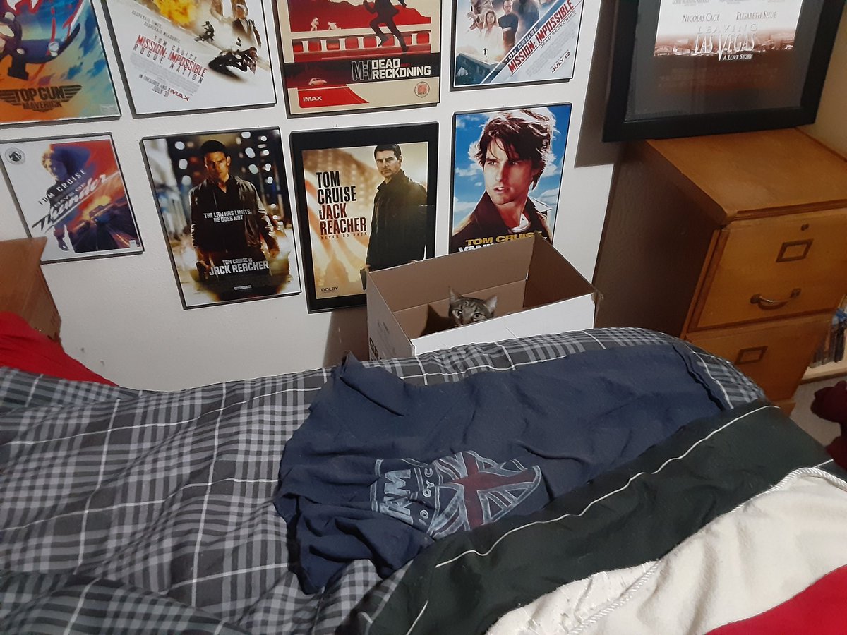 JohnLWard666's tweet image. Happy Caturday! #crazycats