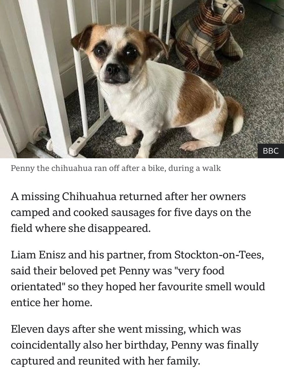 5 days of cooking sausages lol I love this story