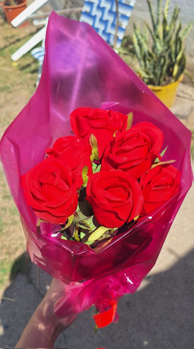 Feliz primavera 🥹🌹