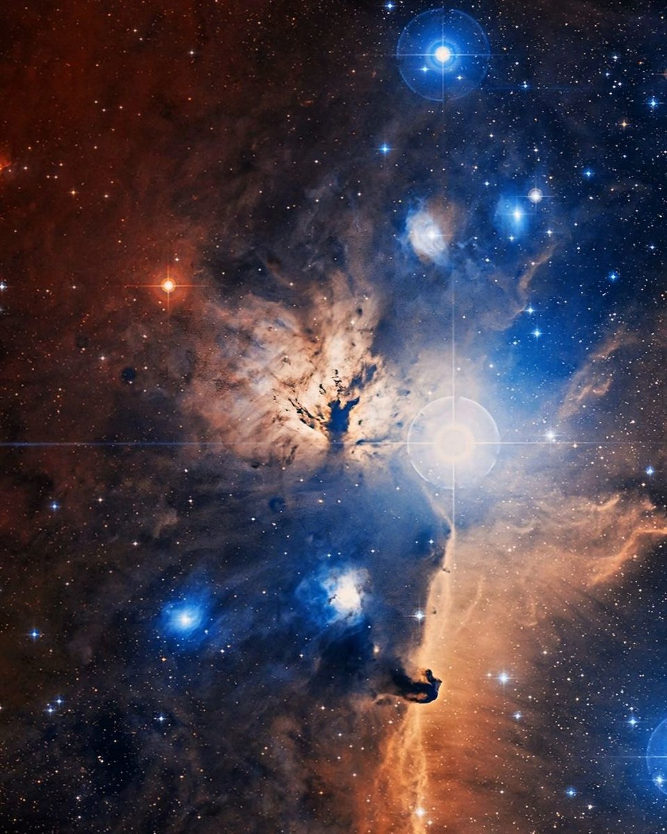Inside the Flame Nebula. The Flame Nebula stands out in this optical image of the dusty, crowded star forming regions toward Orion’s belt, a mere 1,400 light-years away. ✨

Image Credit &amp; Copyright: Optical: DSS; Infrared: NASA/JPL-Caltech; X-ray: NASA/CXC/PSU