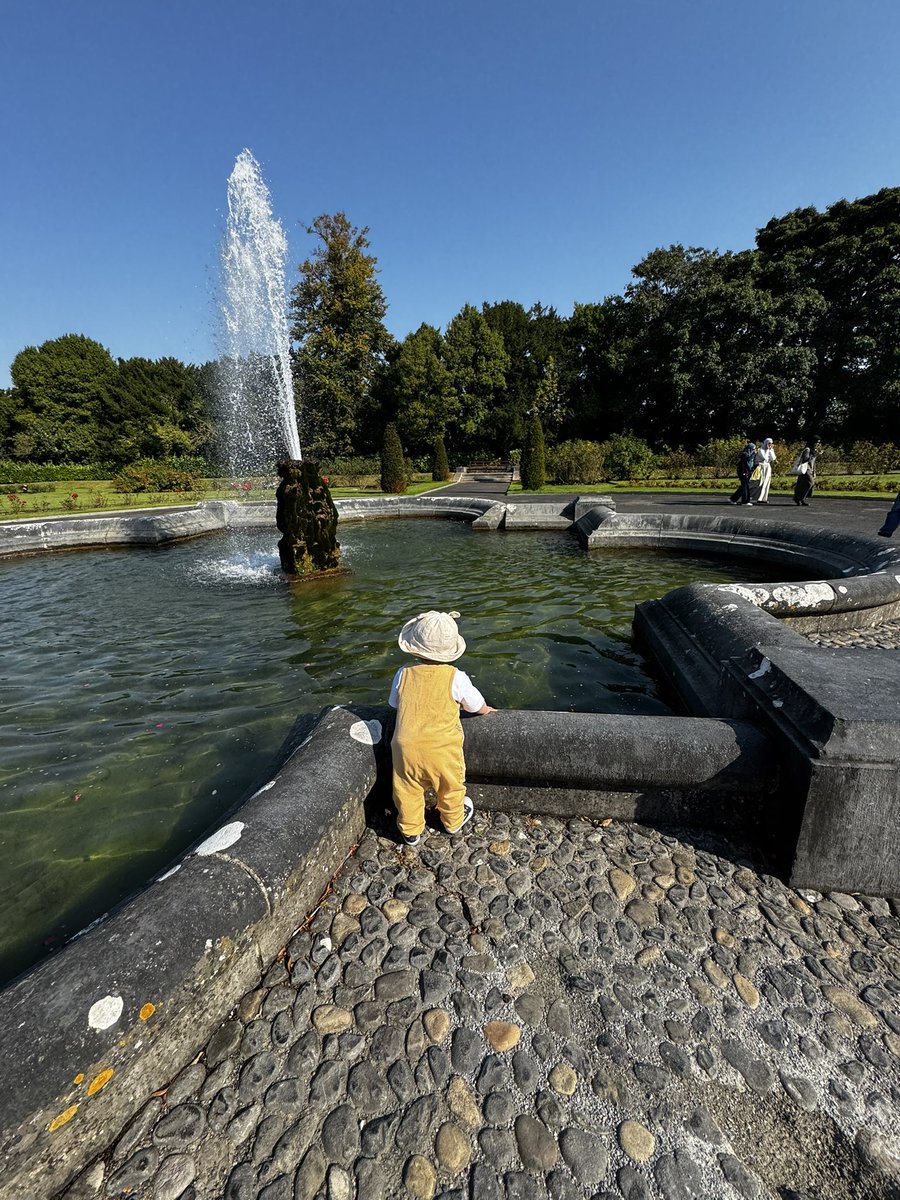 Deebeegeek tweet media