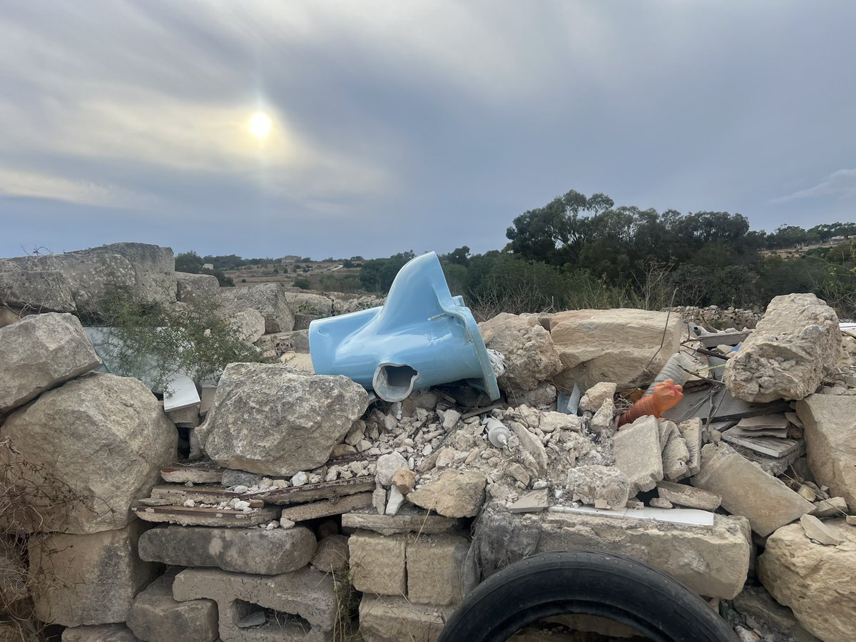 Sarahseeksbirds's tweet photo. Beautiful to see in their natural habitat.
#CABS #Birdguards #Malta #Eveningpatrol https://t.co/crXUHEVa9Y