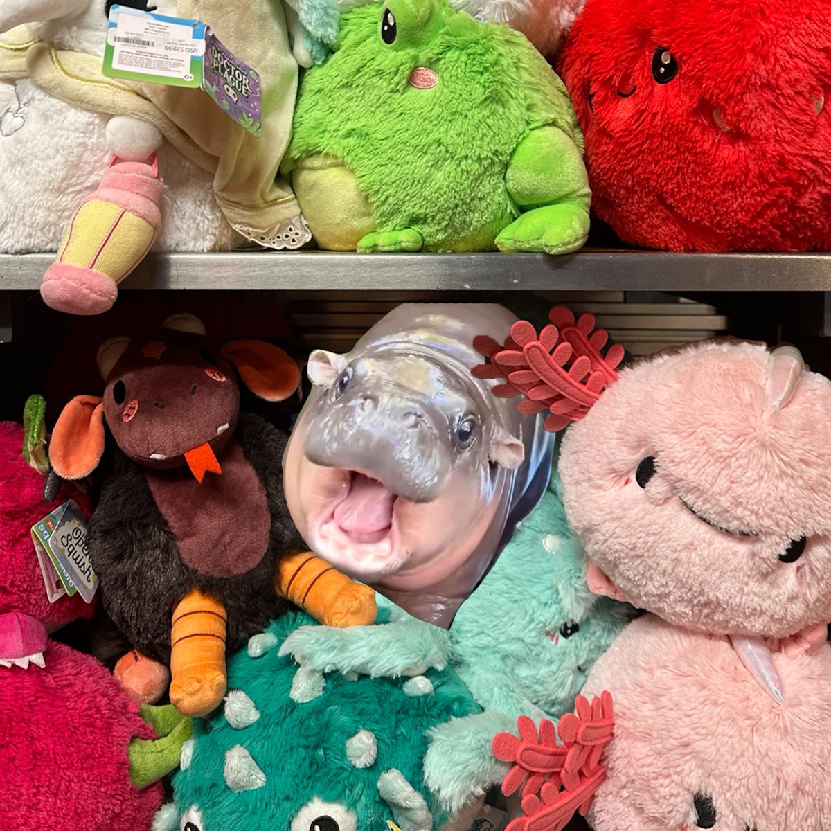 look who found hiding behind some Squishables