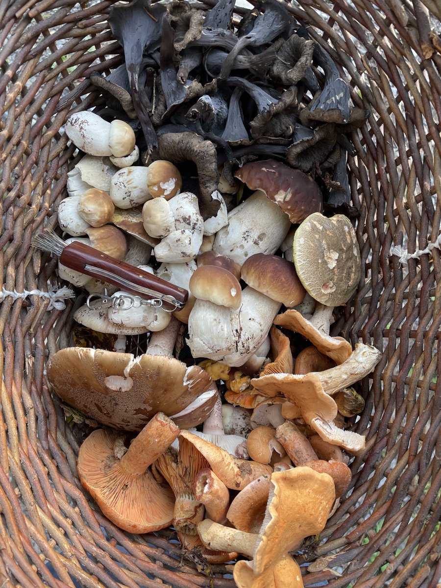 Lenka Zdeborova tweet media