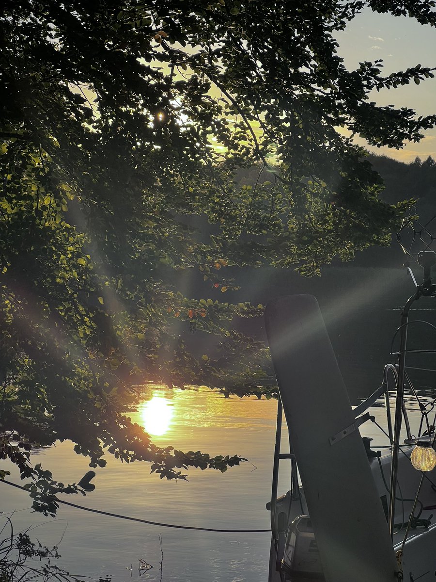 m_m_miel's tweet image. Dom 🫀