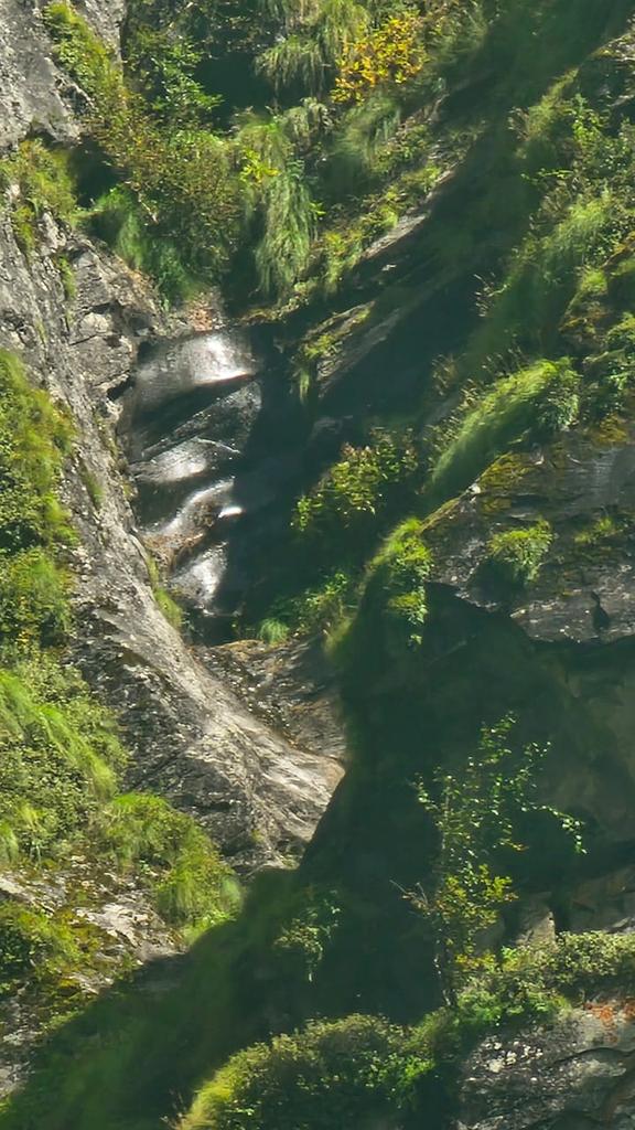 STARSTUDYPOINT2's tweet photo. Green Valley Uttarakhand https://t.co/FdyO3Fx2yI