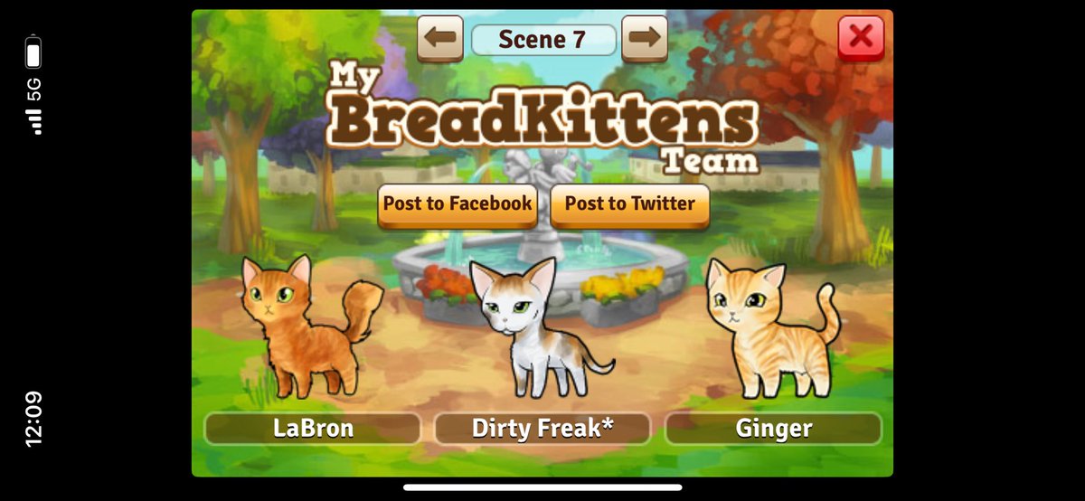 peemurf's tweet photo. My team! #breadkittens https://t.co/YrFetNTdxx