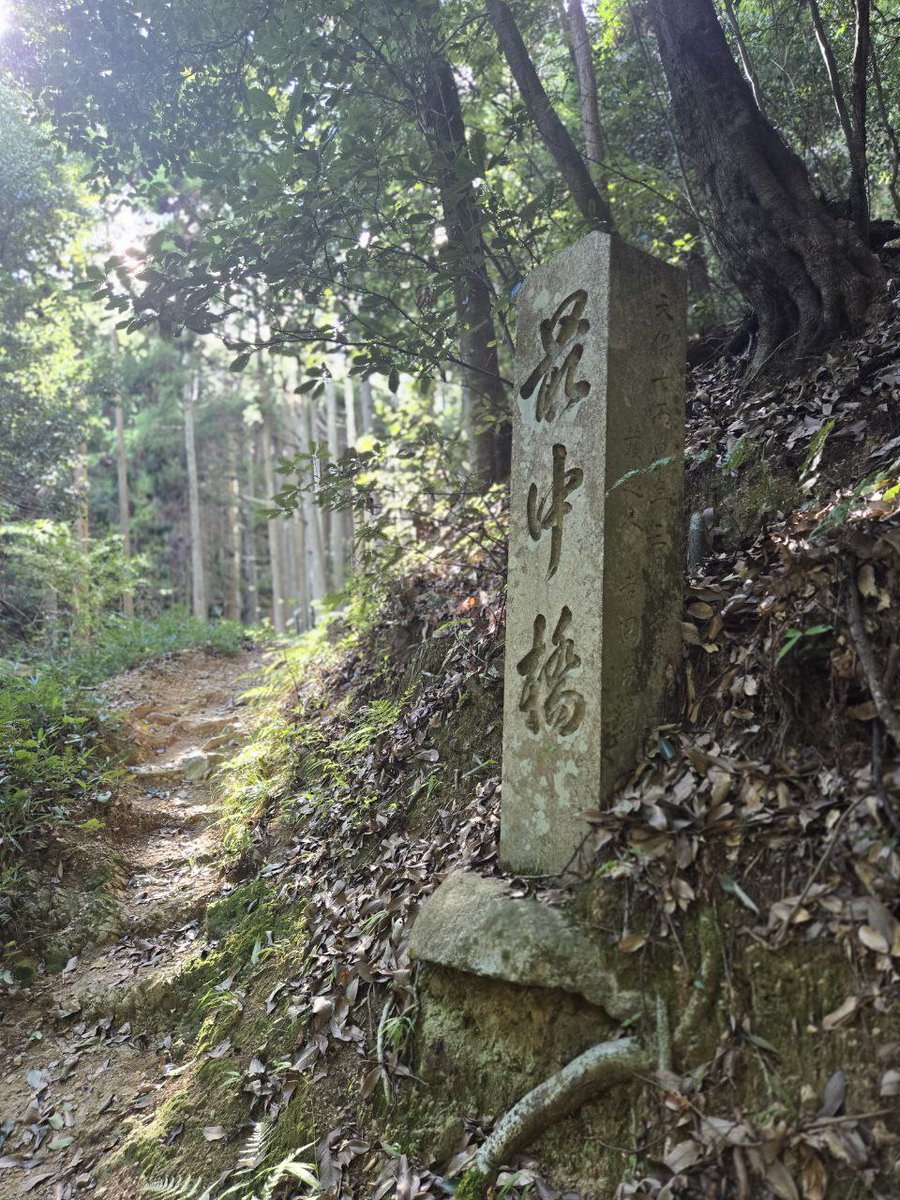Davecko's tweet image. We hiked half the day up top a mountain on a pilgrimage to visit all 88 Buddhist temples north of Kyoto! It was 35C and humid, but was a deeply personal and spiritual experience - one I'll cherish forever.
