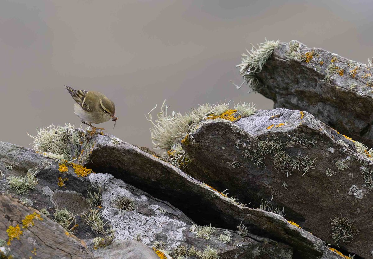 Mike Carr tweet media