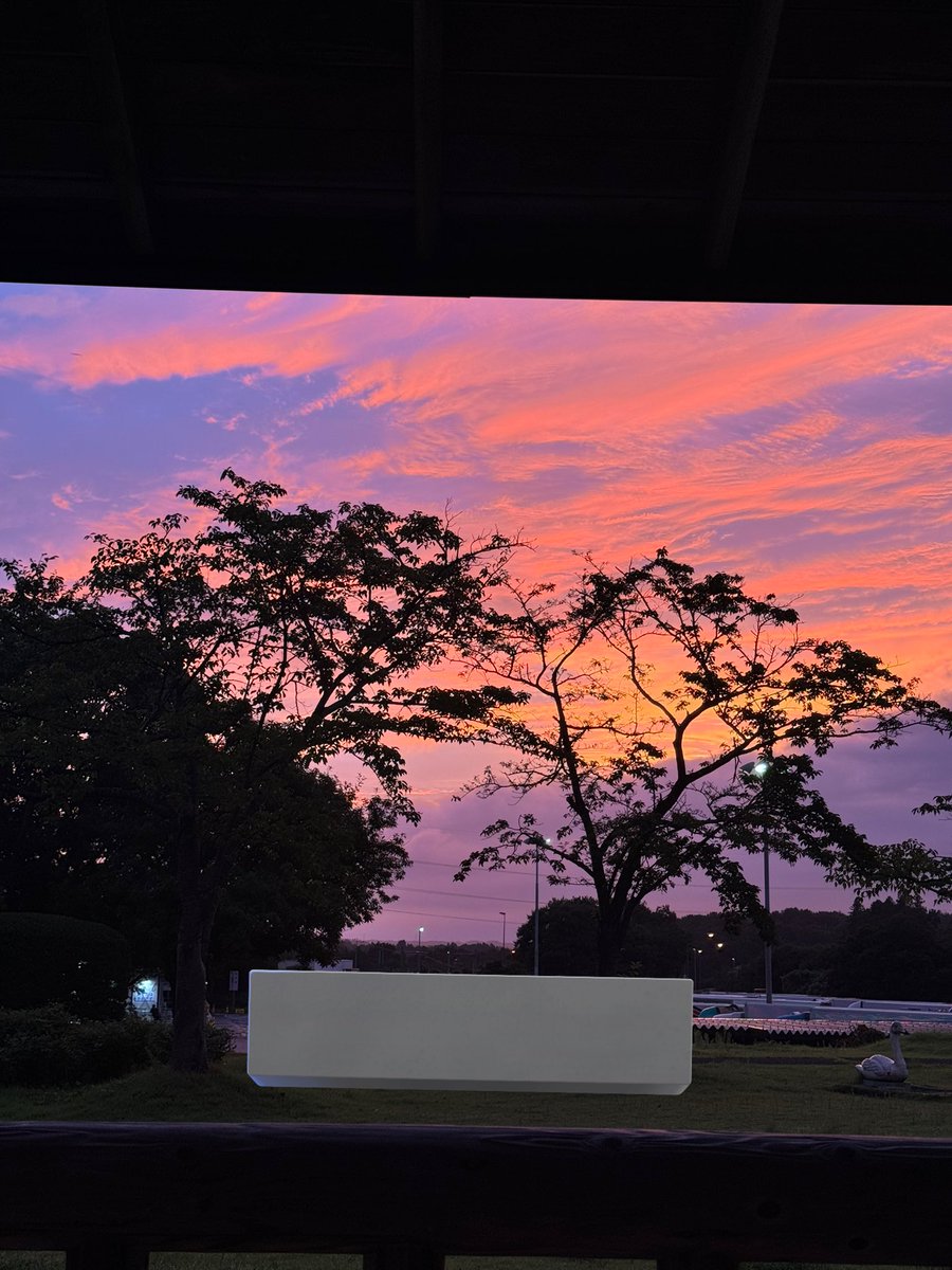 lopeweed2's tweet photo. おはようございます🌅 https://t.co/BXM9srazoY
