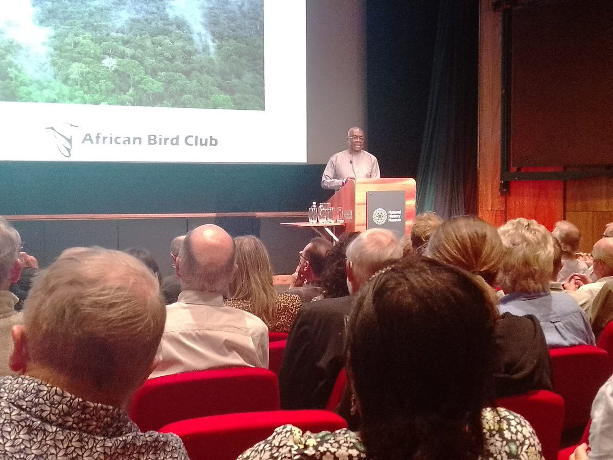 ShokelluT's tweet photo. Honoured to represent @Africabirdclub with @BSeseay today, talking about Picathartes in West Africa at the @online_BOC Bird Odyssey seminar at the @NHM_London. @SIR_JOE11 @Sade0212 https://t.co/qQNDiIG0CG
