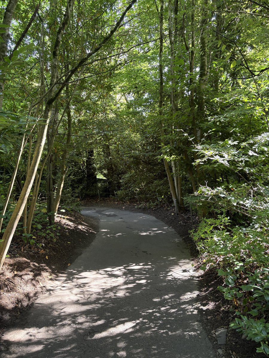 ZooNationOrg's tweet image. Getting lost at the zoo is one of the best feelings! @woodlandparkzoo #zoos