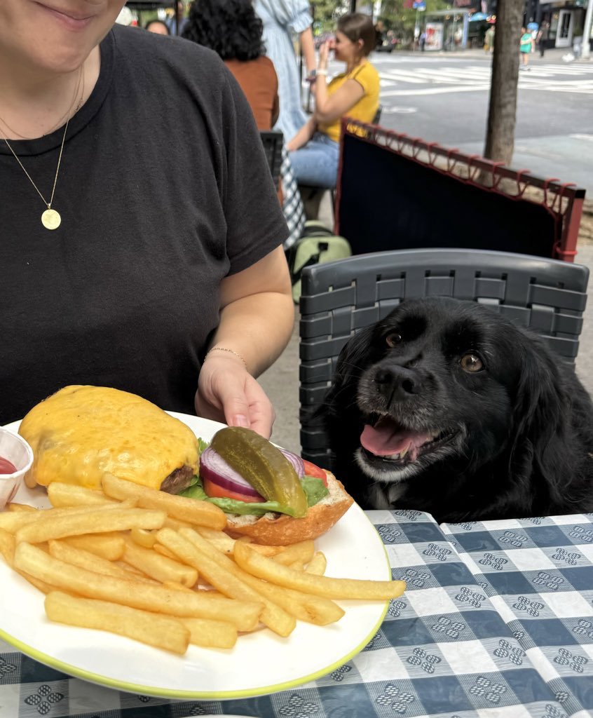 My best friend is out of town, and she venmoed us $100 to take her dog out for lunch on his 10th adoptaversary.