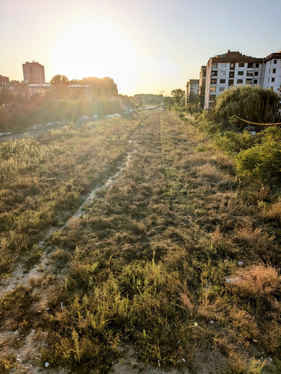 Ivan74356724's tweet image. Odlično vam ide ova gradnja linijskog parka! 👎🤦
#vesić
#šapić