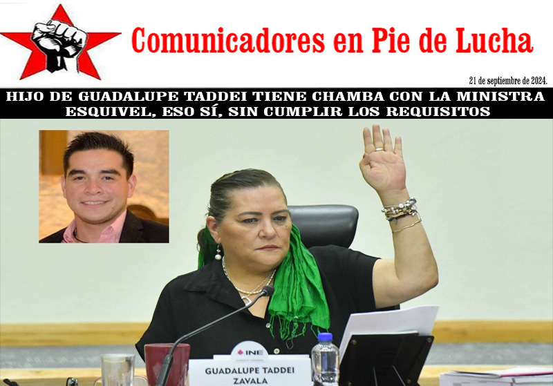 alianzaorg's tweet photo. HIJO DE GUADALUPE TADDEI TIENE CHAMBA CON LA MINISTRA ESQUIVEL, ESO SÍ, SIN CUMPLIR LOS REQUISITOS
https://t.co/SaiWVhFUs3 https://t.co/ZHD0hWjSQc