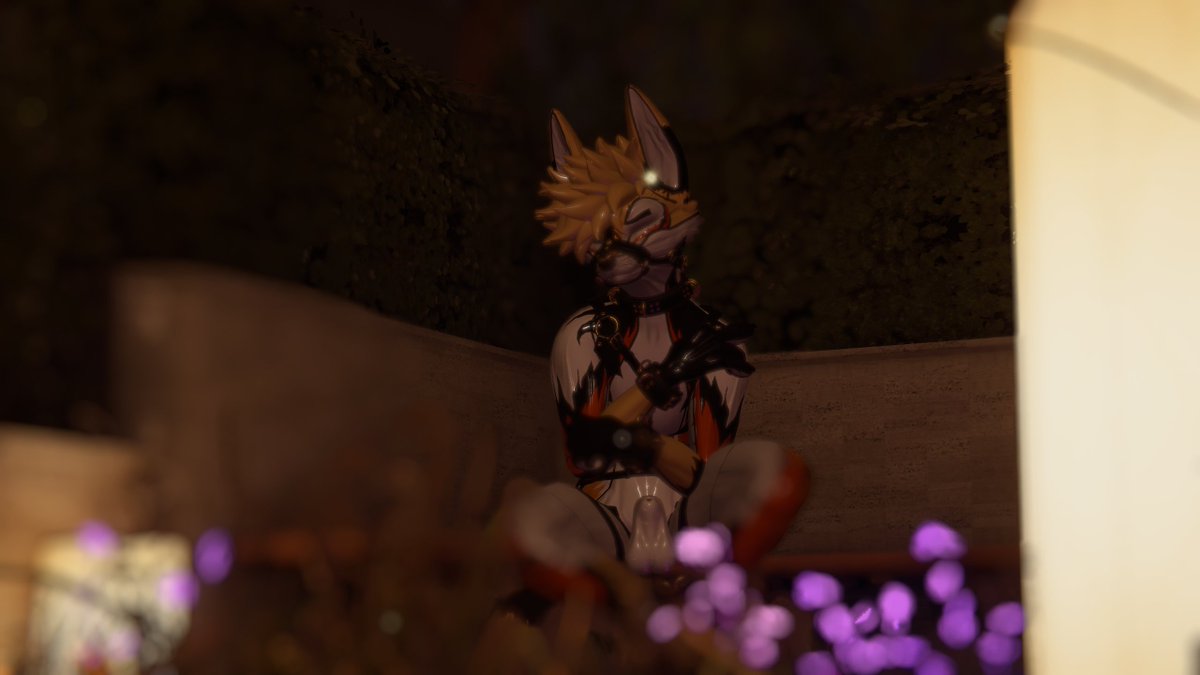 LewdVilk's tweet photo. OwO? Who dis? Blonde fox thing? Super cute :3 Very proud of this boy! https://t.co/5JJQ4jPzOU