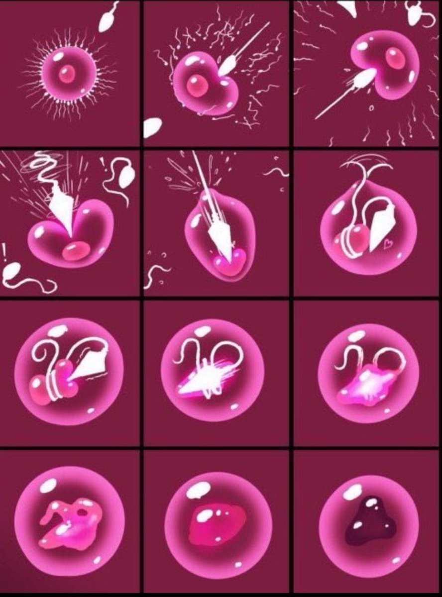 BreedingxSow's tweet photo. My eggs/ovaries and whose sperm? 🎀🥺🎀

#rapekink #cnc #rapebait #rapemeat #rapethreats #nsfw #nsfwtwt #nsfwacc #forced #ddlg #slut https://t.co/ikeBfmbhbv