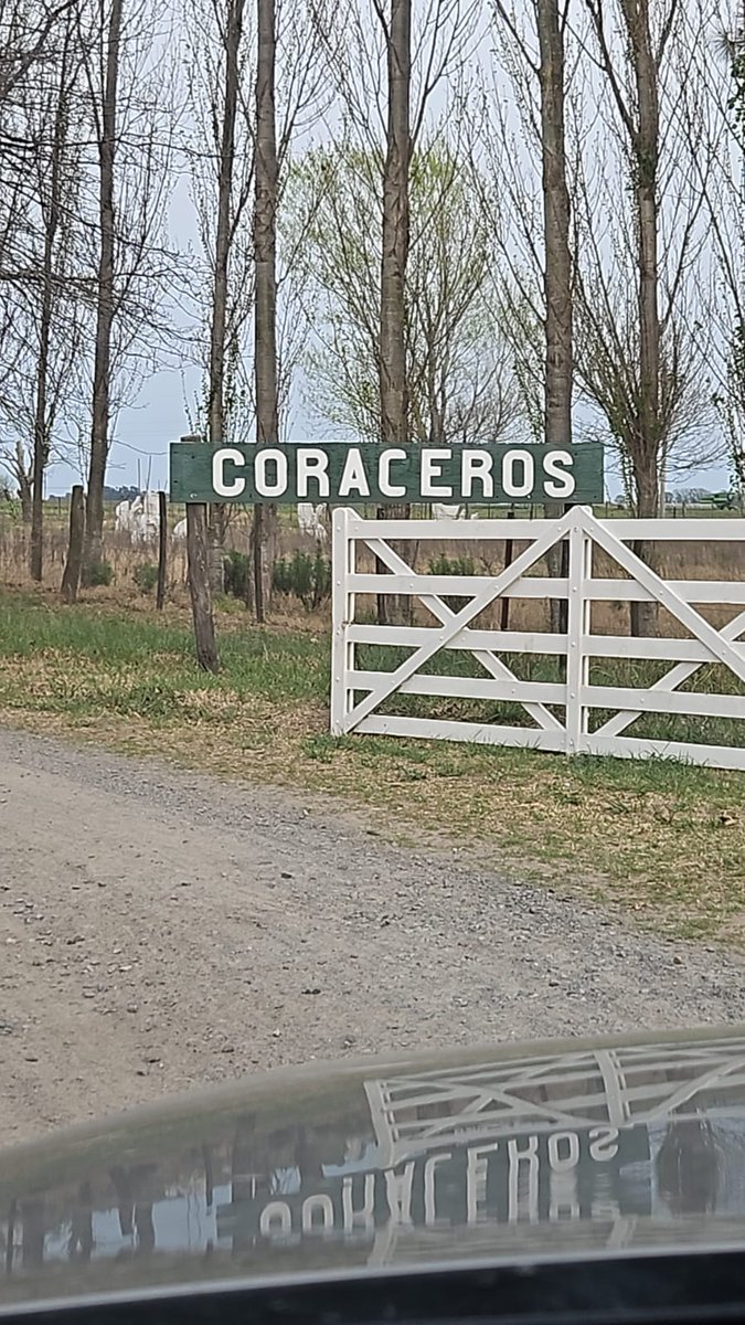 RegionalHD's tweet photo. Hoy fue día de siembra de ensayo de maiz. En el marco del proyecto conjunto, de nuestra #RegionalHD, con la Escuela Agraria N° 1 "Emilio White", de Coraceros, dió inicio al ensayo de rendimiento de 29 materiales distintos, de 12 semilleros.
*Sigue https://t.co/HqwdD04R82
