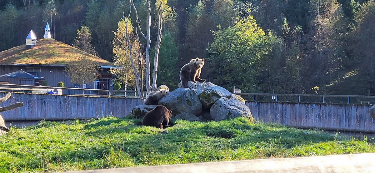 OkayBearsYC's tweet image. Happy to see the fam again 🙌 
#OBYC