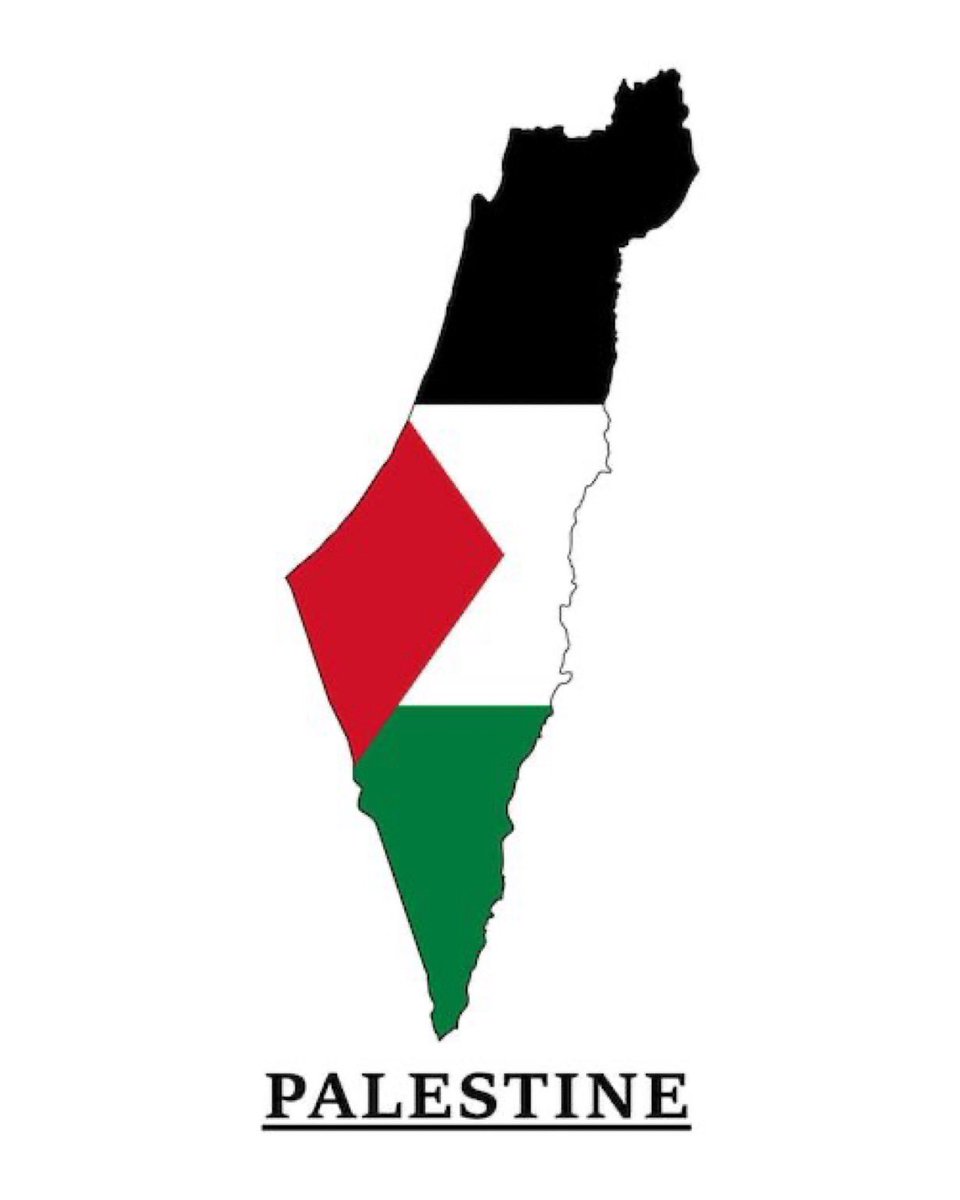 Eyeongaza2's tweet photo. My account is dying ;(

If you see this post PLEASE, just comment 🍉,🇵🇸 or even a Dot. 

Let me see all the Pro-Palestinian here👇🏻

https://t.co/iokf0rYeYY https://t.co/DavNSqp8cx