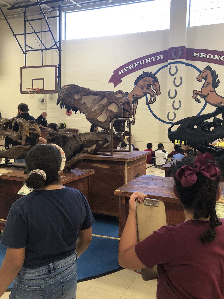 Veronica Jacobs tweet media