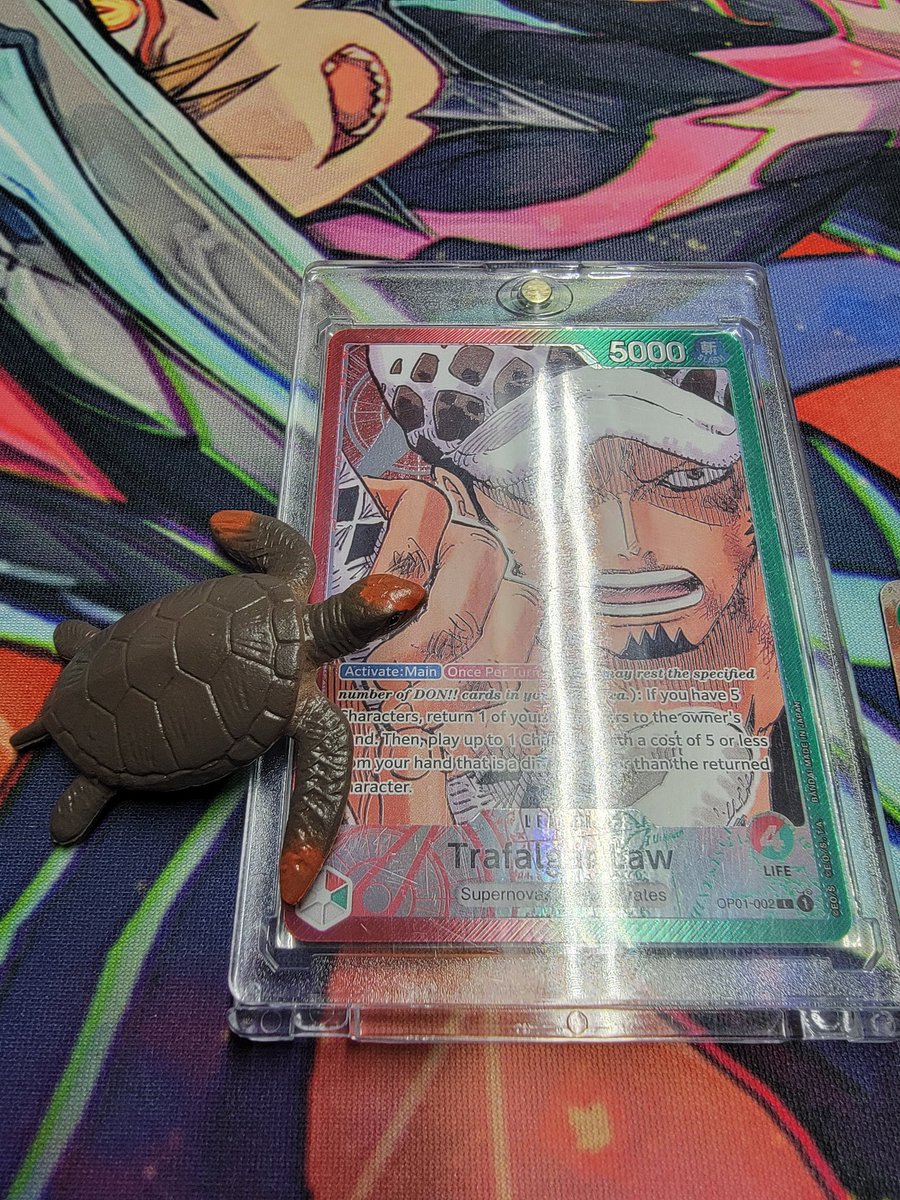 ElTurtles tweet picture