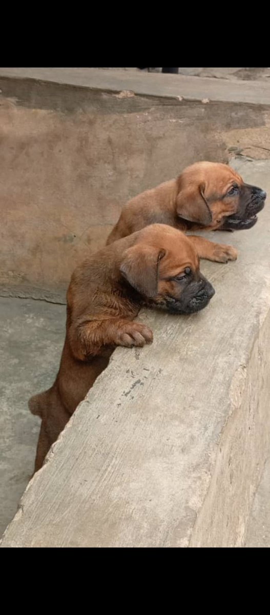 oke tosin😘😚 tweet media