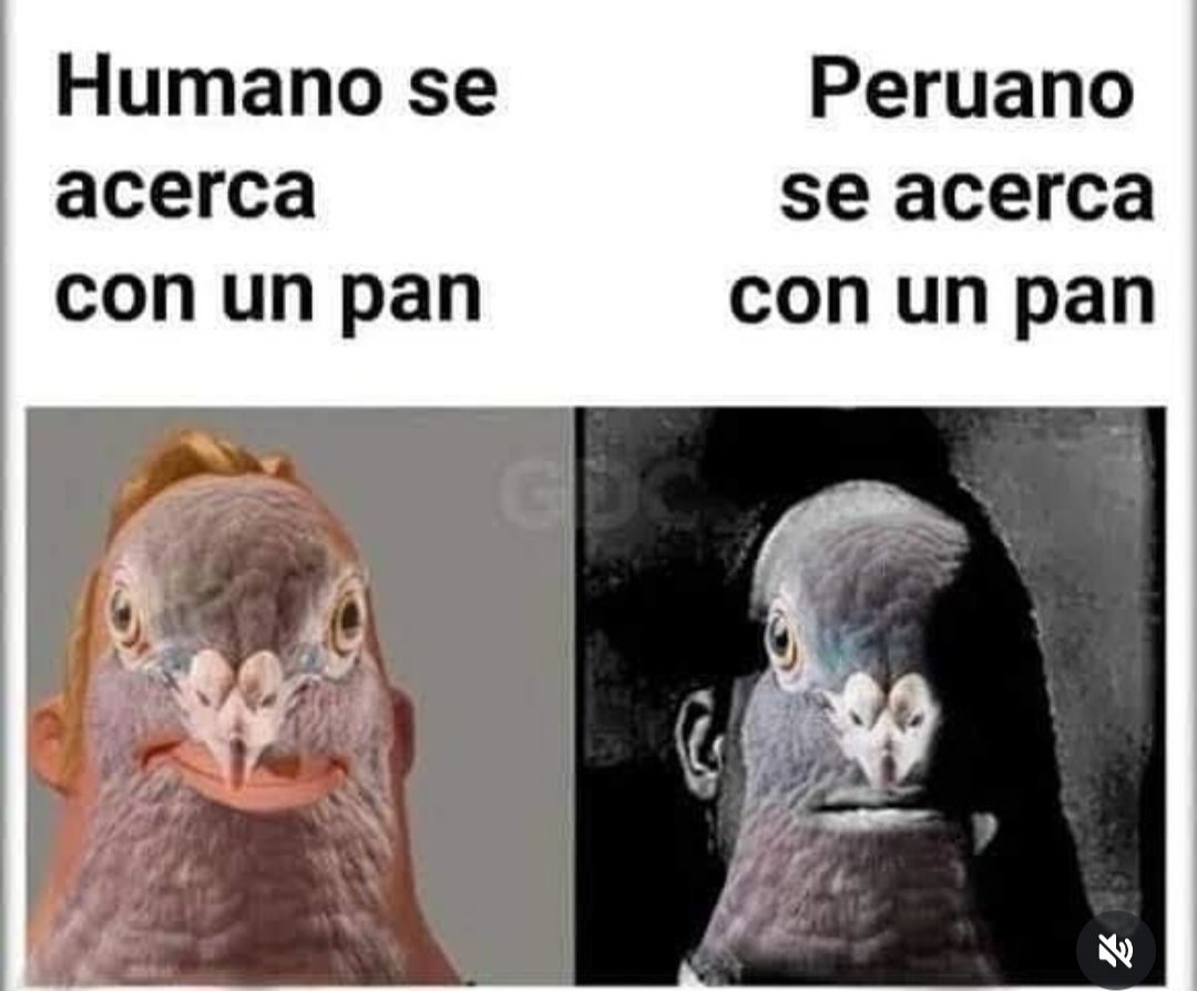 Gancho Gánchez (@ganchito67) on Twitter photo 