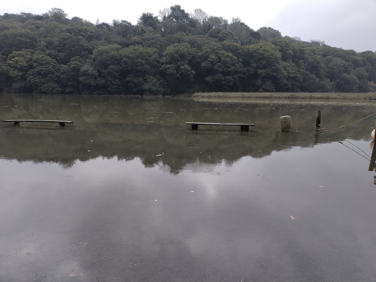 _RachelTurnbull's tweet photo. September #seabass expedition 2 day 4 @PlymUni! A slight change of cast didn't stop us having fun on the Tamar, with a bass and plenty of gobies (as requested on the drive to site) #FHRU https://t.co/NpkU9GEe18