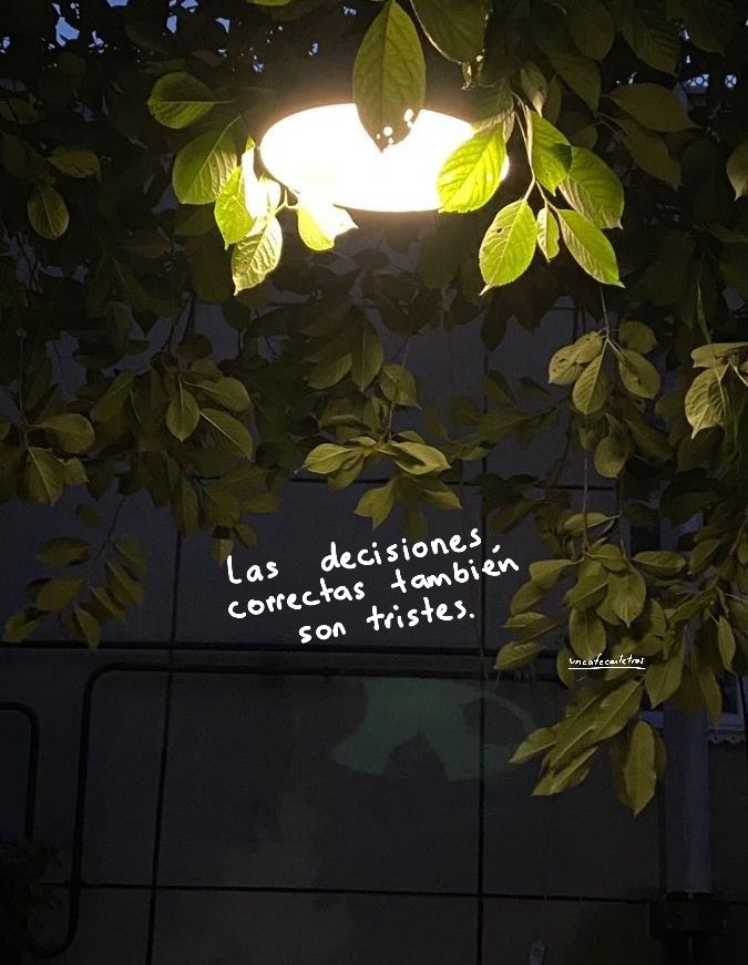 Un café con letras (@uncafeconletras) on Twitter photo 