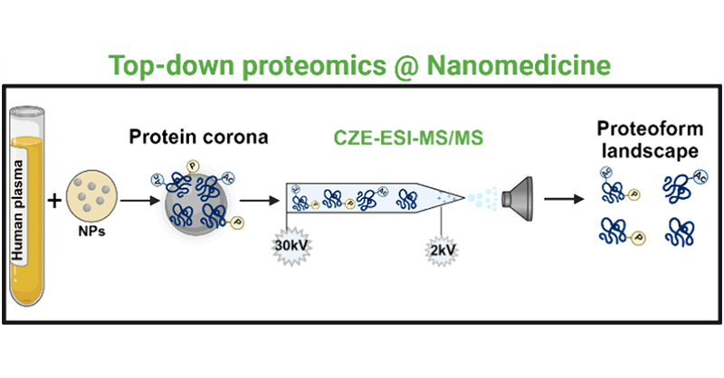 ACS Nano (@acsnano) on Twitter photo Researchers led by <a href="/MoriMahmoudi/">Morteza Mahmoudi, PhD</a> and <a href="/LiangliangSun4/">Sun Research Group</a> demonstrate a robust and reproducible #MassSpectrometry based top-down #proteomics technique which enables the characterization of #proteoforms in a protein corona. <a href="/michiganstateu/">MSU</a>
#OpenAccess: go.acs.org/aWE Researchers led by <a href="/MoriMahmoudi/">Morteza Mahmoudi, PhD</a> and <a href="/LiangliangSun4/">Sun Research Group</a> demonstrate a robust and reproducible #MassSpectrometry based top-down #proteomics technique which enables the characterization of #proteoforms in a protein corona. <a href="/michiganstateu/">MSU</a>
#OpenAccess: go.acs.org/aWE