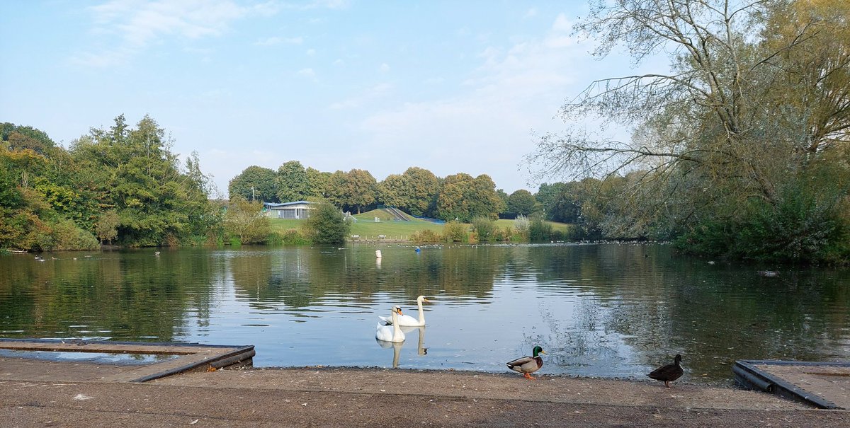 Saw <a href="/nick_truran/">Nick Truran</a> 4 lessons; 2 almost riding, one refused to try and one prepping for his #bikeability course. In the workshop today, a six week check and Micky 🐕  and Monty 🐶 popped by to say hello.
