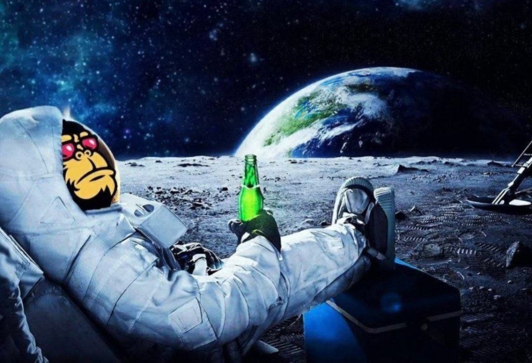 FEGDINO's tweet photo. @Ste_Cha_FEG @lifeisdefi @FEGtoken Gorillas in #FEGQ4 Ready for Real #FEGRUN ๐๐๐ฅ๐ฆ https://t.co/6srQjU3XF3
