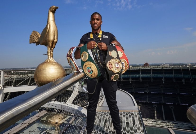 🎶 Everywhere they goooooo! 🎵