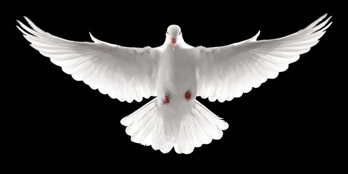 ROMA300's tweet image. 