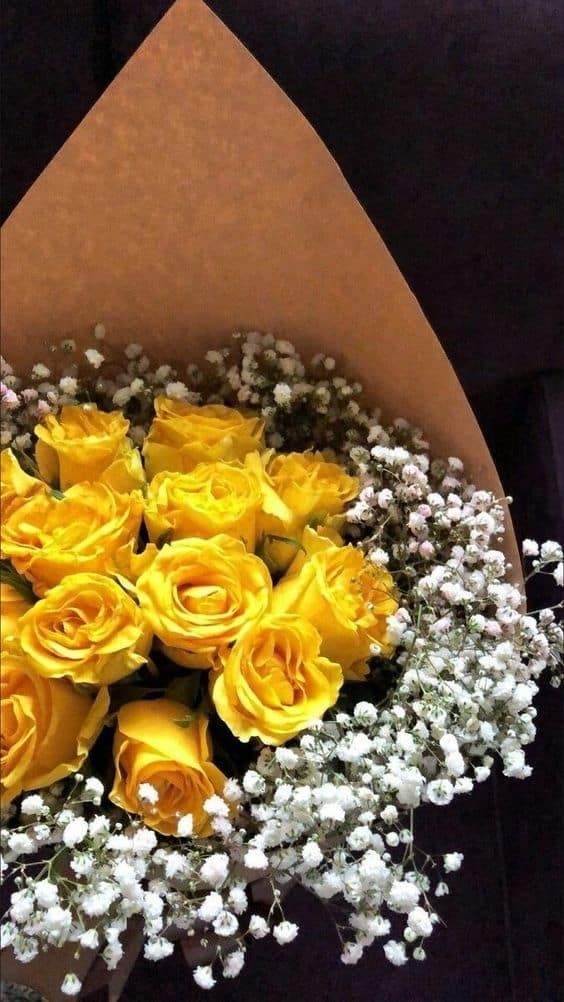LouisDeLest's tweet photo. { @ITheBratPrince }

          — Yo... he oído que, en algunos países del Sur es costumbre regalar flores amarillas en este día. Me parece una costumbre estúpida, pero quería regalarte este ramo. https://t.co/UZhA58cxbN