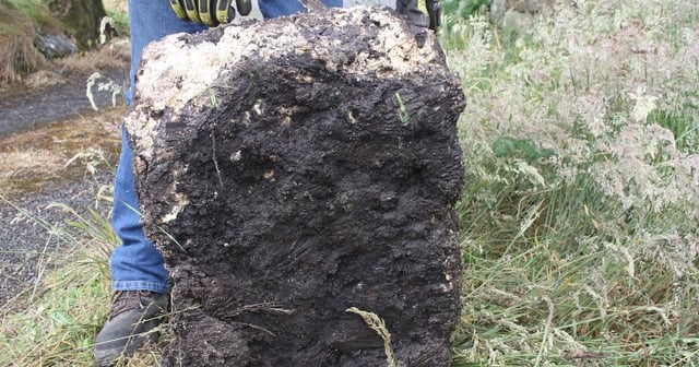Donegal farmer uncovers 22kg slab of ancient bog butter. dlvr.it/TDWb7p Discussion: