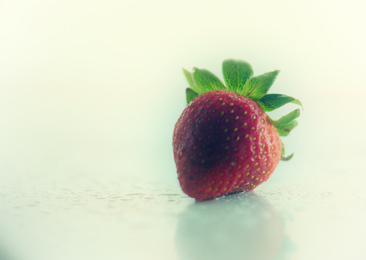 Stephanie Alexandra tweet media