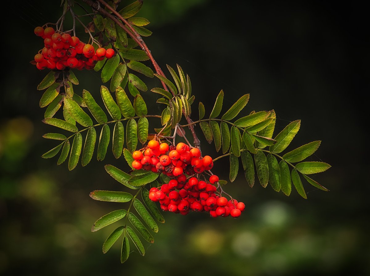 Stephanie Alexandra tweet media